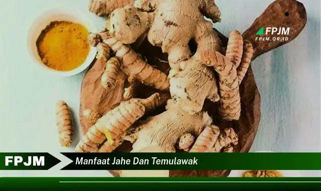 manfaat jahe dan temulawak