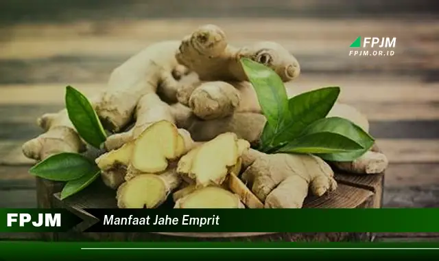 manfaat jahe emprit