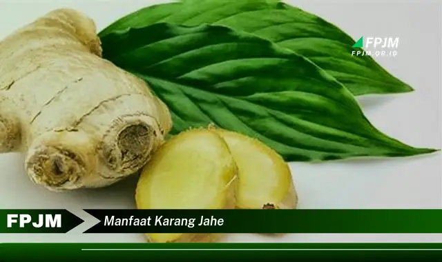 manfaat karang jahe