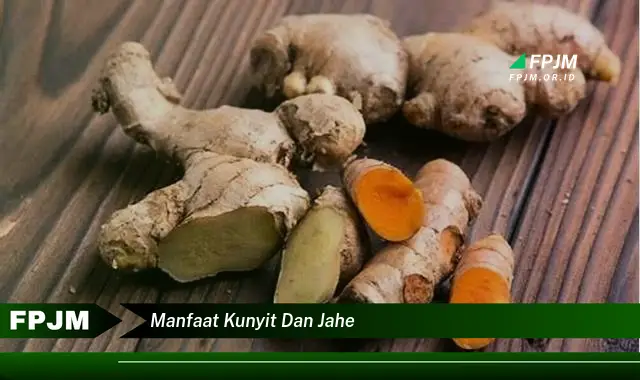 manfaat kunyit dan jahe