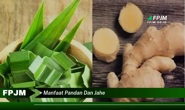 manfaat pandan dan jahe