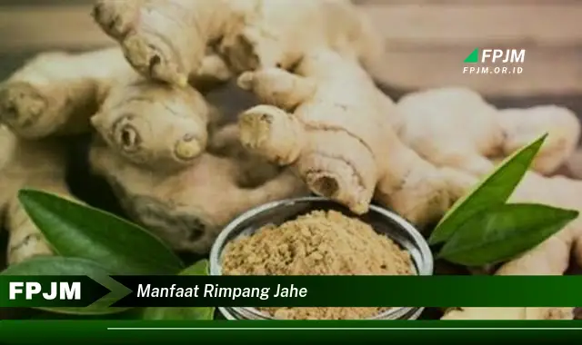 manfaat rimpang jahe