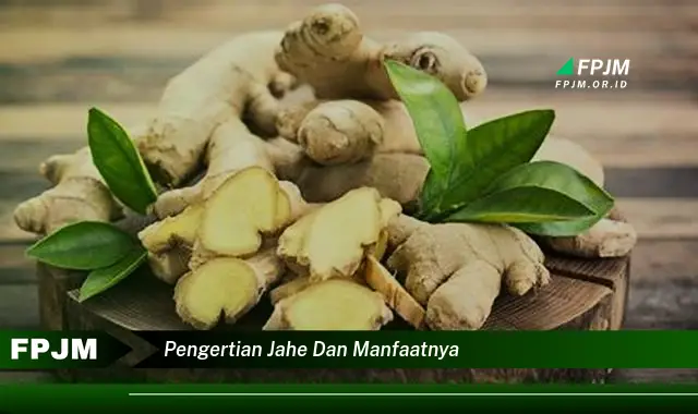 pengertian jahe dan manfaatnya pengertian jahe dan manfaatnya