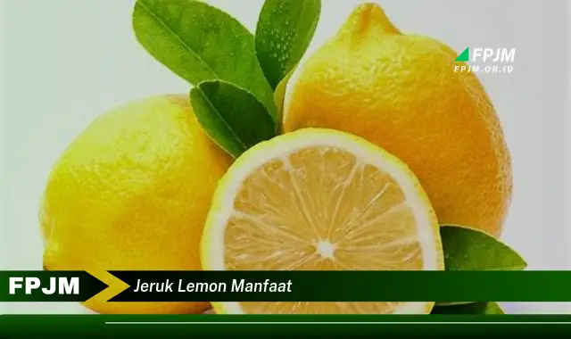jeruk lemon manfaat jeruk lemon manfaat