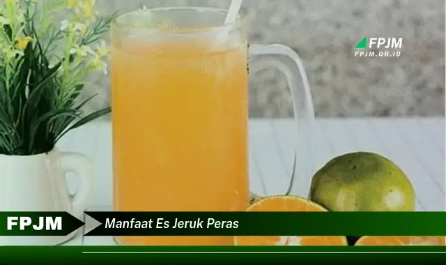 manfaat es jeruk peras manfaat es jeruk peras