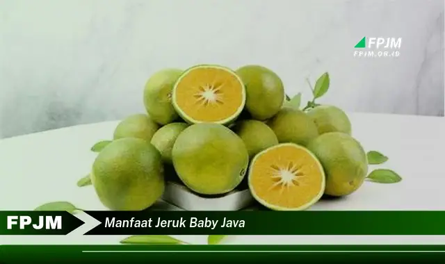 manfaat jeruk baby java manfaat jeruk baby java