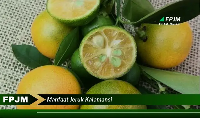 manfaat jeruk kalamansi manfaat jeruk kalamansi