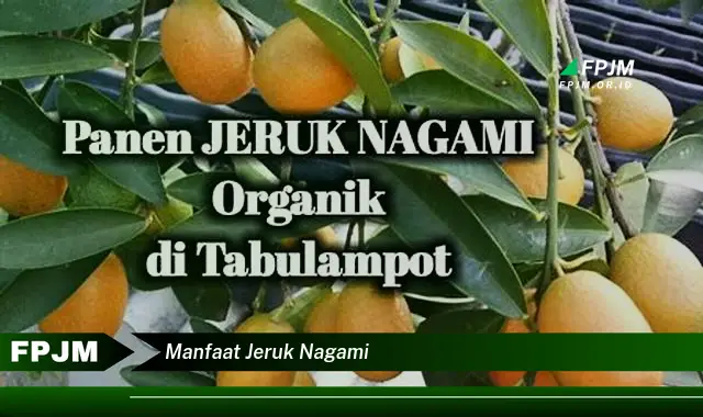 manfaat jeruk nagami