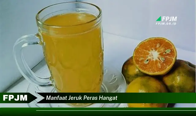manfaat jeruk peras hangat