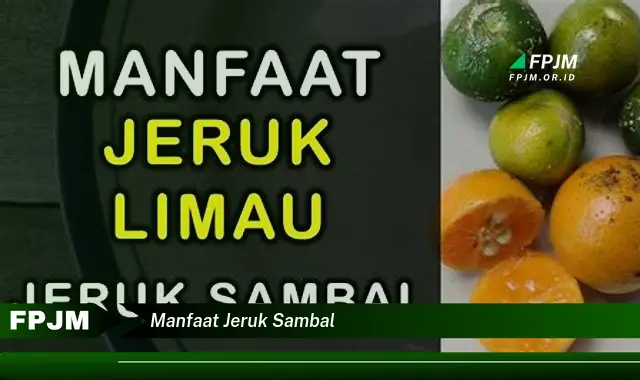 manfaat jeruk sambal