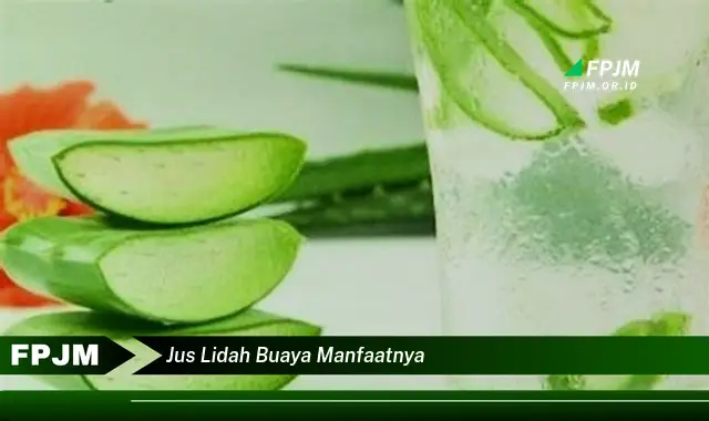 jus lidah buaya manfaatnya jus lidah buaya manfaatnya