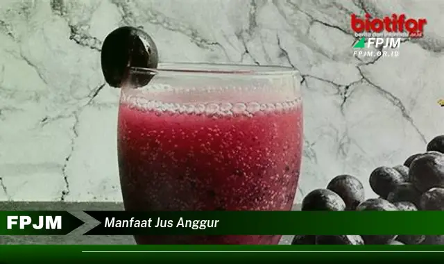 manfaat jus anggur