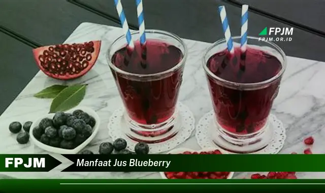 manfaat jus blueberry