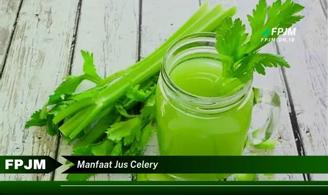 manfaat jus celery