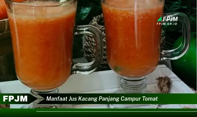 manfaat jus kacang panjang campur tomat manfaat jus kacang panjang campur tomat