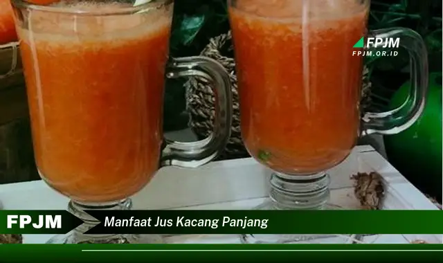 manfaat jus kacang panjang manfaat jus kacang panjang