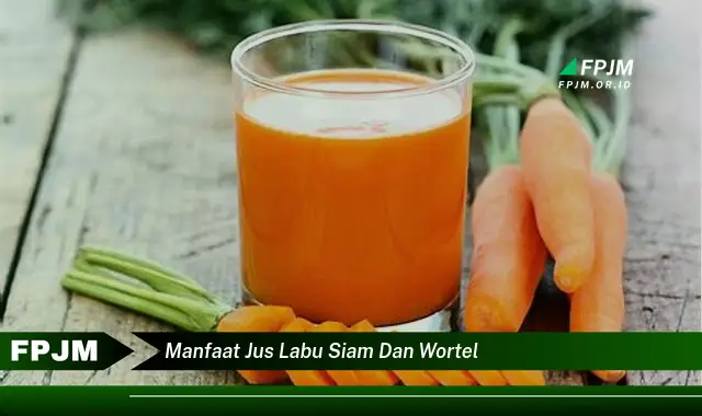 manfaat jus labu siam dan wortel