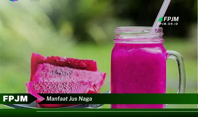 manfaat jus naga manfaat jus naga
