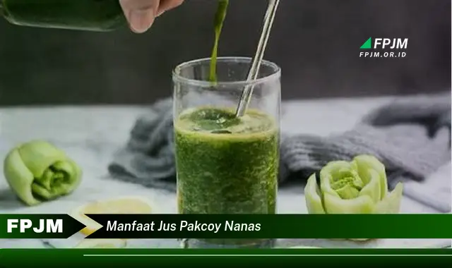 manfaat jus pakcoy nanas