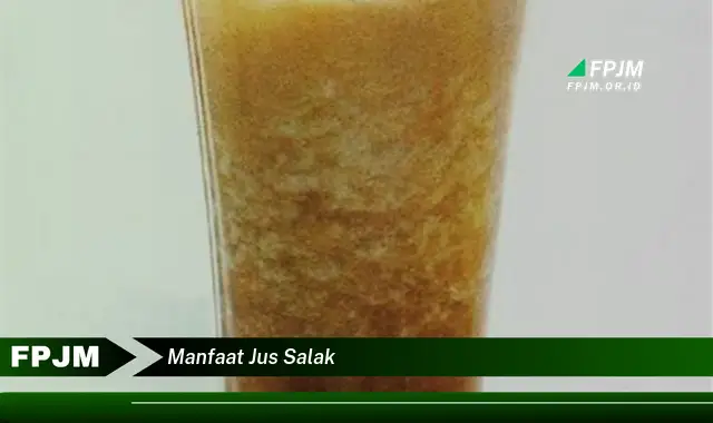 manfaat jus salak manfaat jus salak