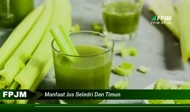 manfaat jus seledri dan timun