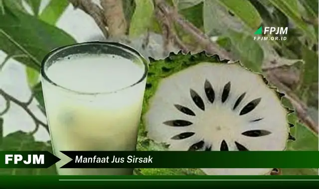 manfaat jus sirsak manfaat jus sirsak