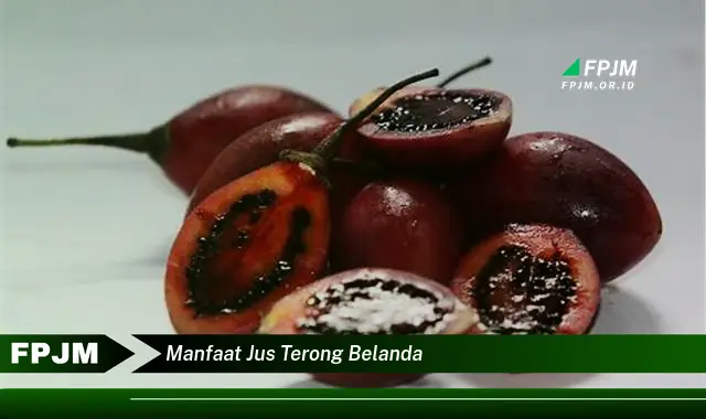 manfaat jus terong belanda manfaat jus terong belanda
