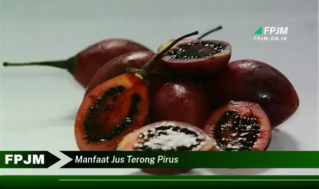 manfaat jus terong pirus manfaat jus terong pirus