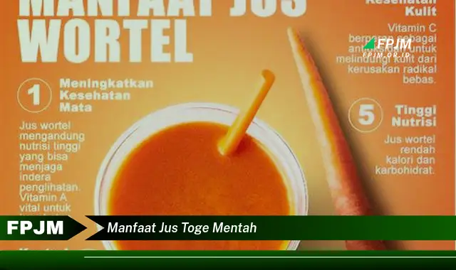 manfaat jus toge mentah