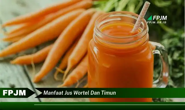 manfaat jus wortel dan timun