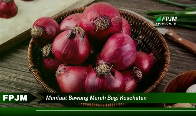 manfaat bawang merah bagi kesehatan