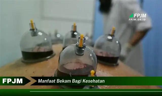manfaat bekam bagi kesehatan manfaat bekam bagi kesehatan