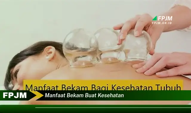 manfaat bekam buat kesehatan manfaat bekam buat kesehatan