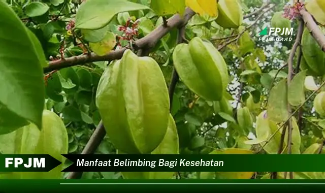 manfaat belimbing bagi kesehatan manfaat belimbing bagi kesehatan