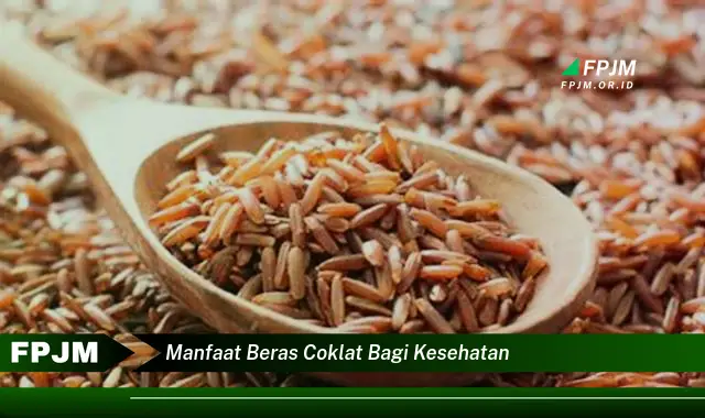 manfaat beras coklat bagi kesehatan manfaat beras coklat bagi kesehatan