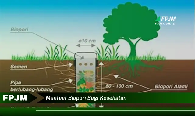 Intip 6 Manfaat Kesehatan Biopori yang Jarang Diketahui - Discover NEWS