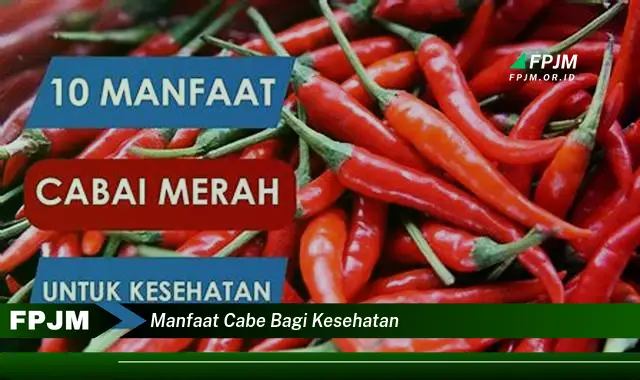 manfaat cabe bagi kesehatan manfaat cabe bagi kesehatan