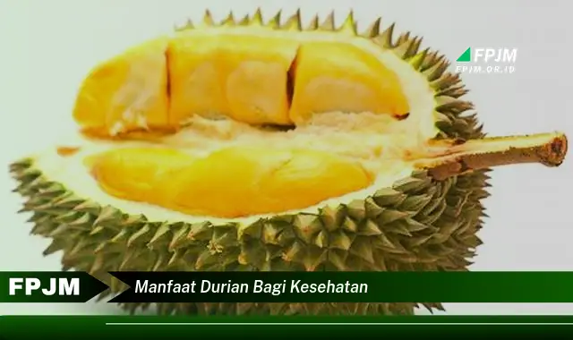manfaat durian bagi kesehatan manfaat durian bagi kesehatan