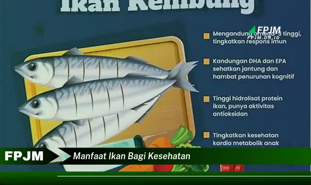 manfaat ikan bagi kesehatan manfaat ikan bagi kesehatan