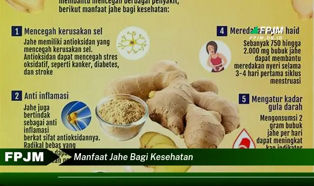 manfaat jahe bagi kesehatan manfaat jahe bagi kesehatan