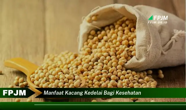 manfaat kacang kedelai bagi kesehatan