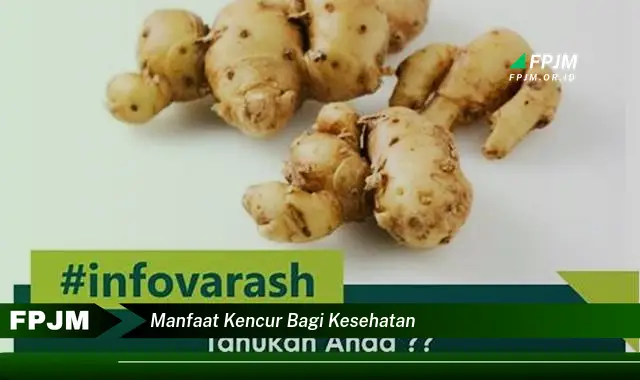 manfaat kencur bagi kesehatan