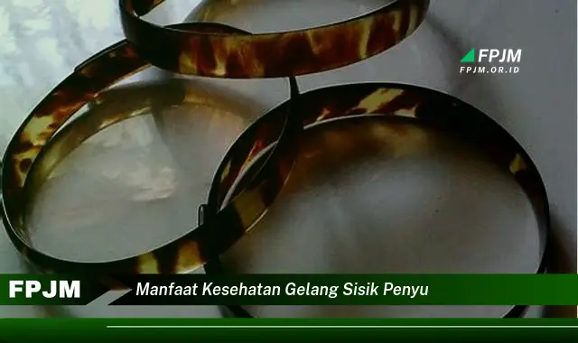 manfaat kesehatan gelang sisik penyu manfaat kesehatan gelang sisik penyu