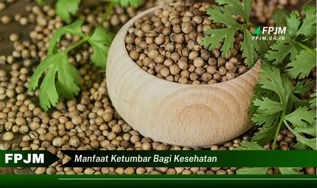manfaat ketumbar bagi kesehatan manfaat ketumbar bagi kesehatan