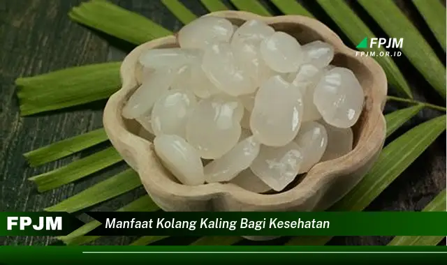 manfaat kolang kaling bagi kesehatan manfaat kolang kaling bagi kesehatan