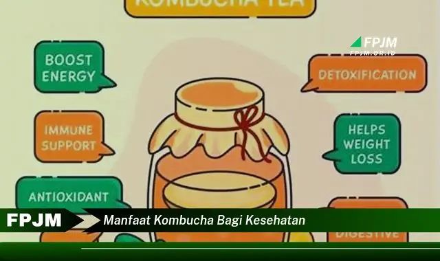 manfaat kombucha bagi kesehatan