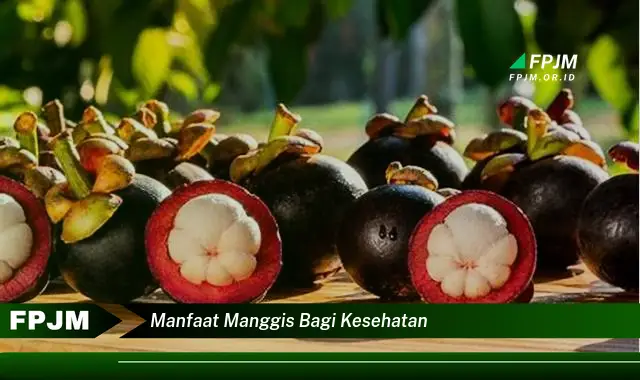 manfaat manggis bagi kesehatan manfaat manggis bagi kesehatan