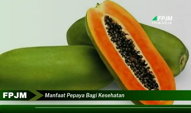 manfaat pepaya bagi kesehatan