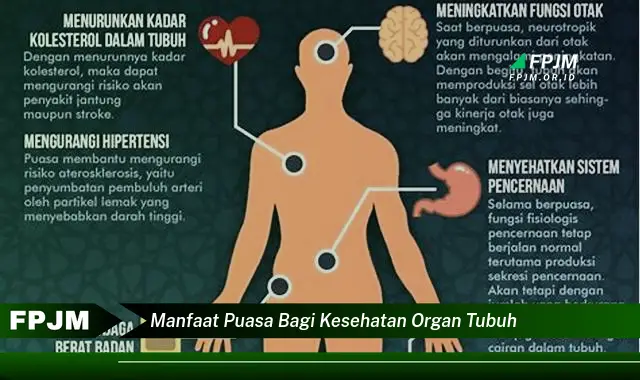 manfaat puasa bagi kesehatan organ tubuh