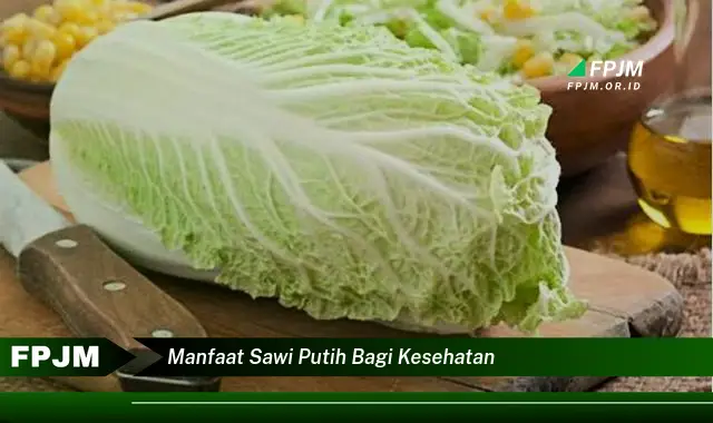 manfaat sawi putih bagi kesehatan manfaat sawi putih bagi kesehatan